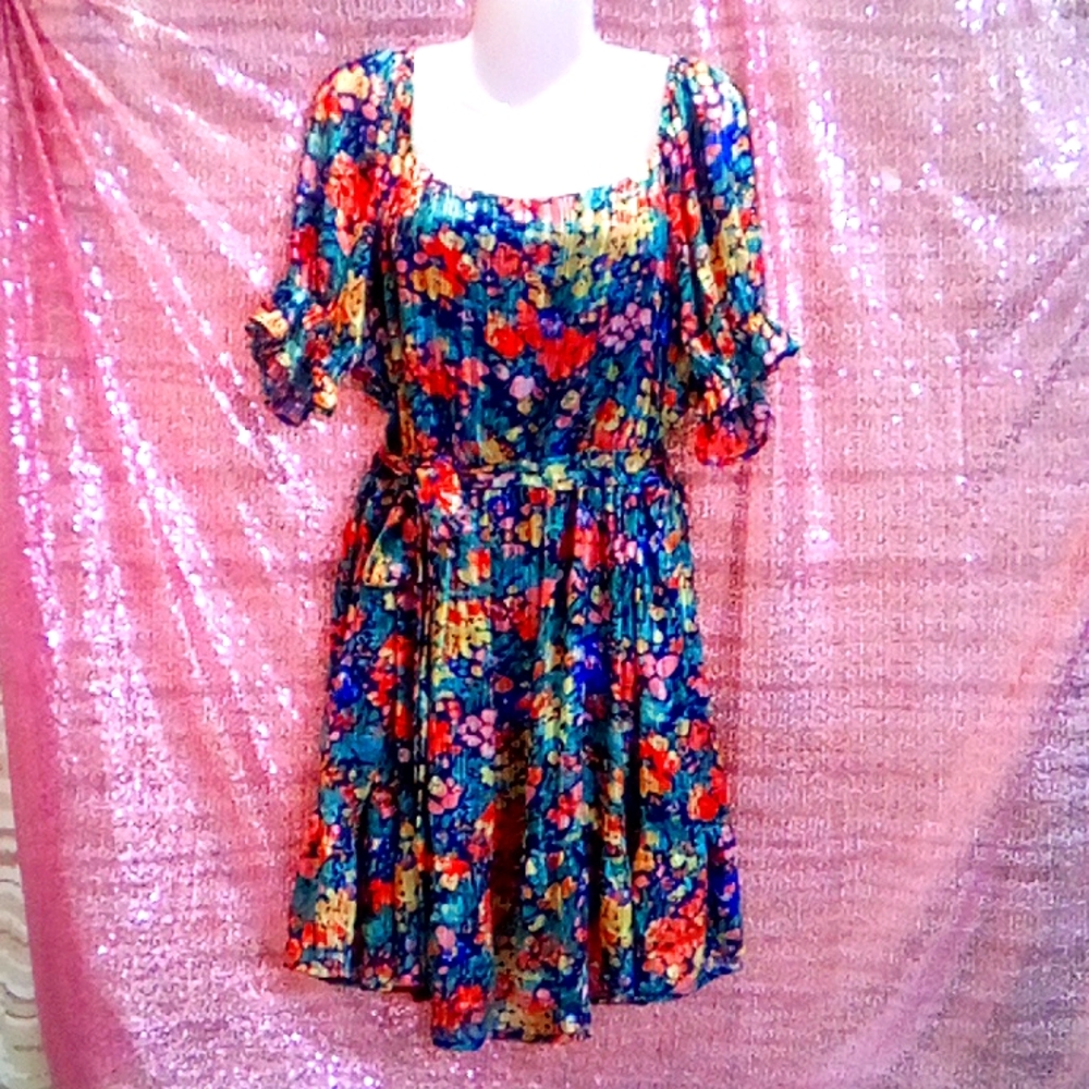 NWOT💕Hailey & Co. XL Floral Dress, Swing Skirt, Elastic Waist Neck & Sleeves!